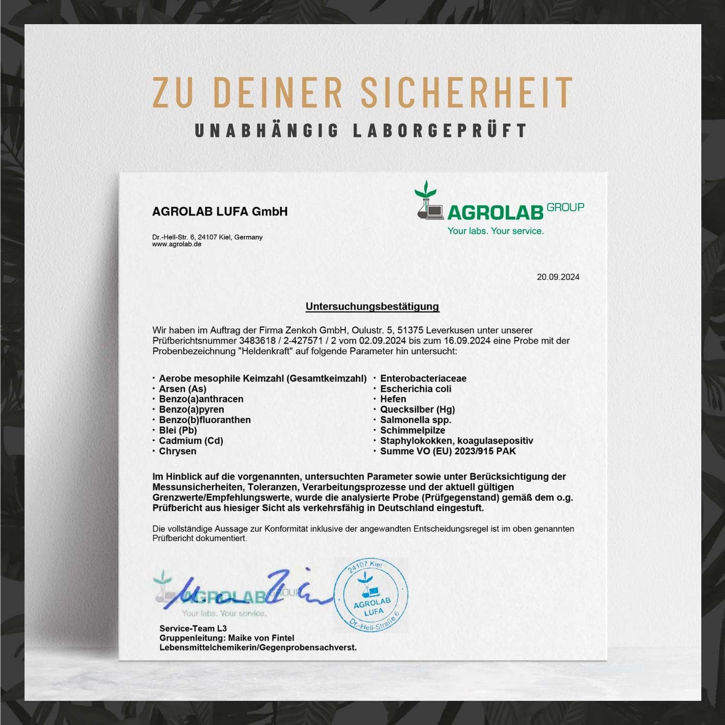 Maca Kapseln hochdosiert - Maca 20:1 Extrakt mit Tribulus terrestris, Cordyceps, Bockshornklee, Zink, Ginseng, Safran, Selen - 90 Kapsel Heldenkraft für Männer